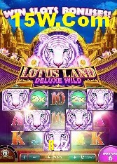 Casino Ao Vivo II22